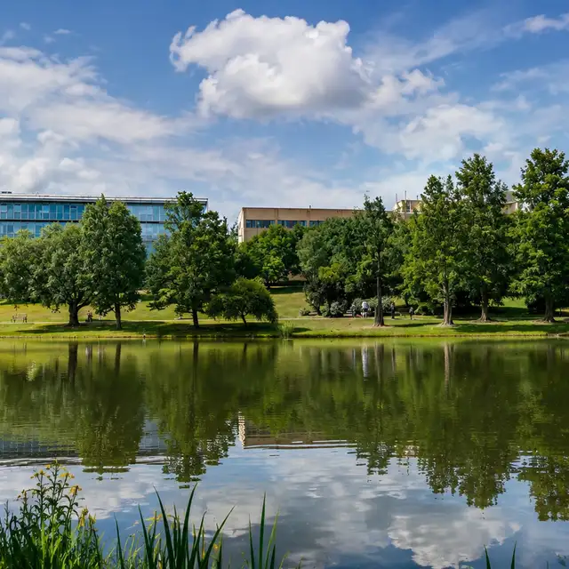 Stag Hill, University of Surrey